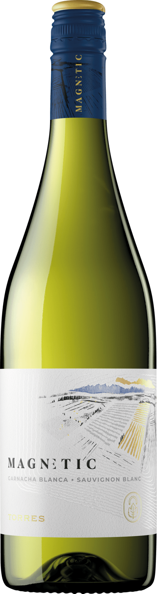 Magnetic Blanco