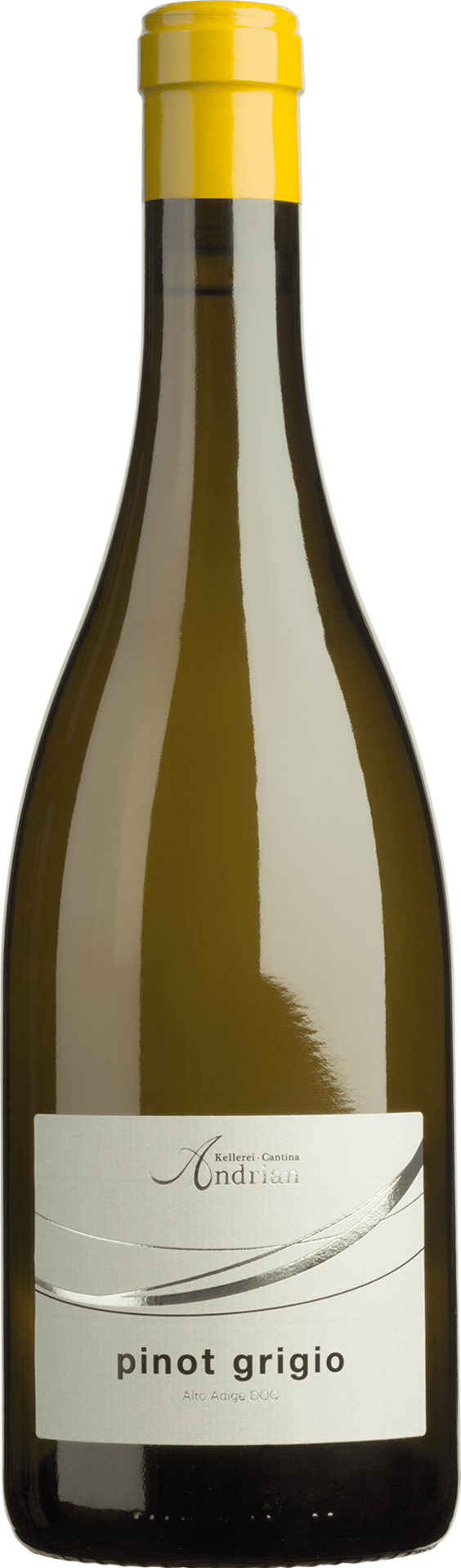 Pinot Grigio DOC