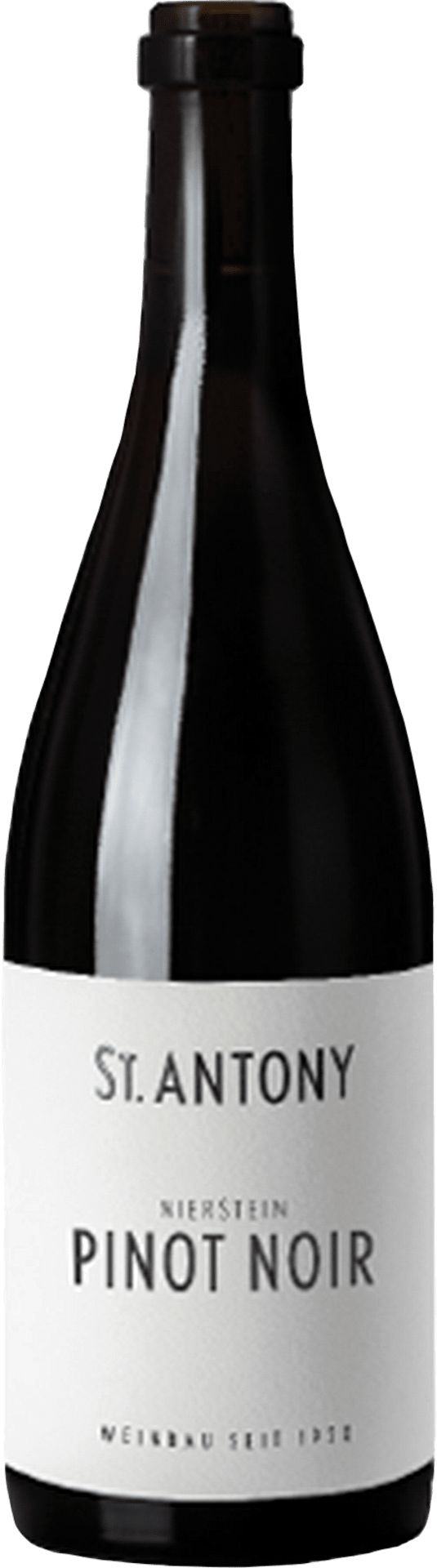 Nierstein Pinot Noir aus Ersten Lagen