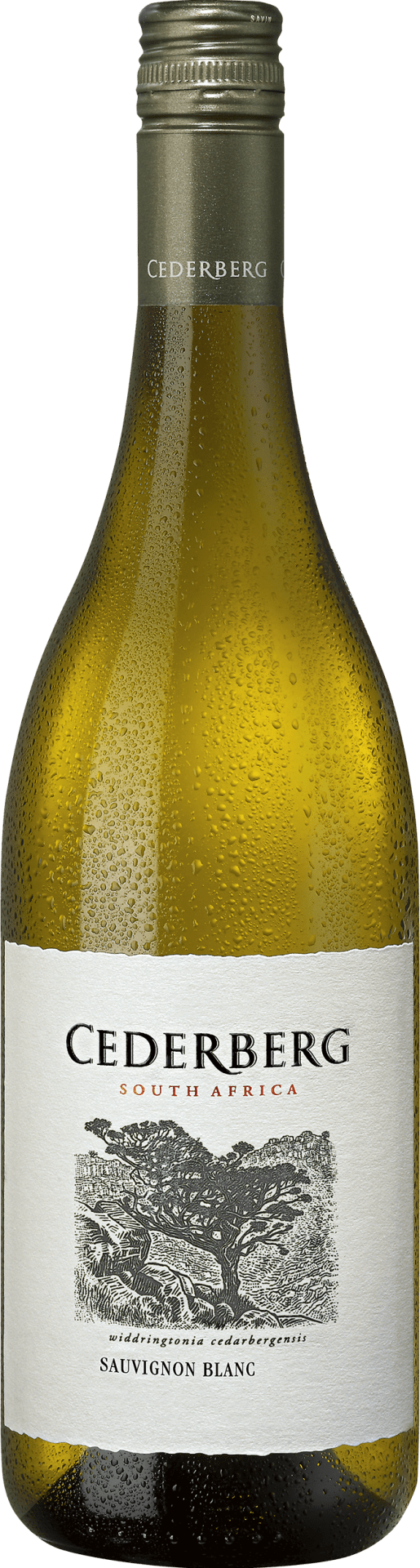 Cederberg Sauvignon Blanc