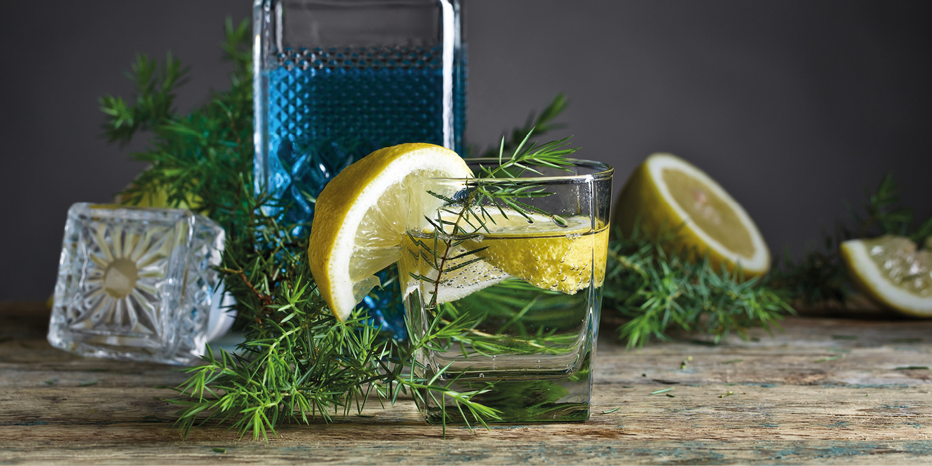 logo_Gin