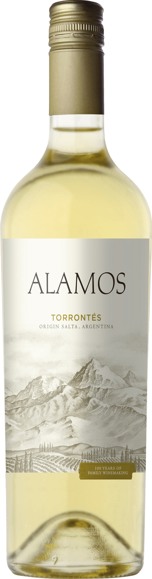 Alamos Torrontés
