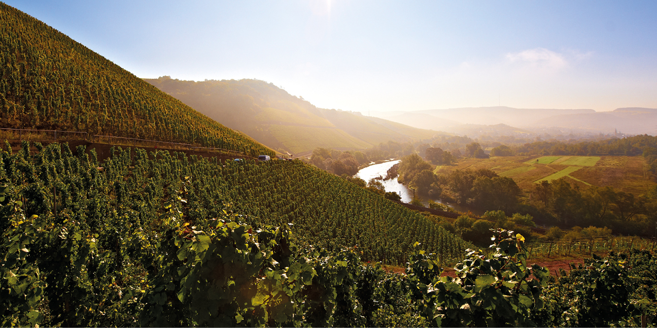 logo_Mosel
