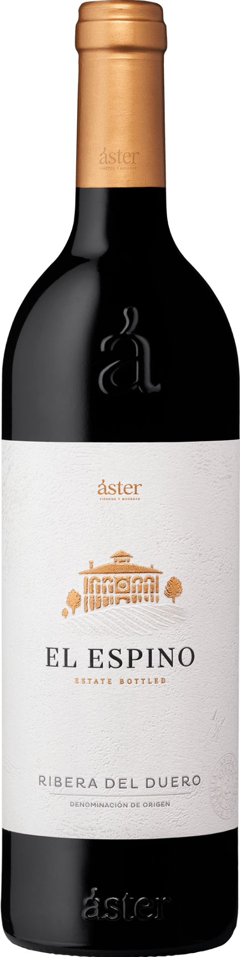 Áster El Espino