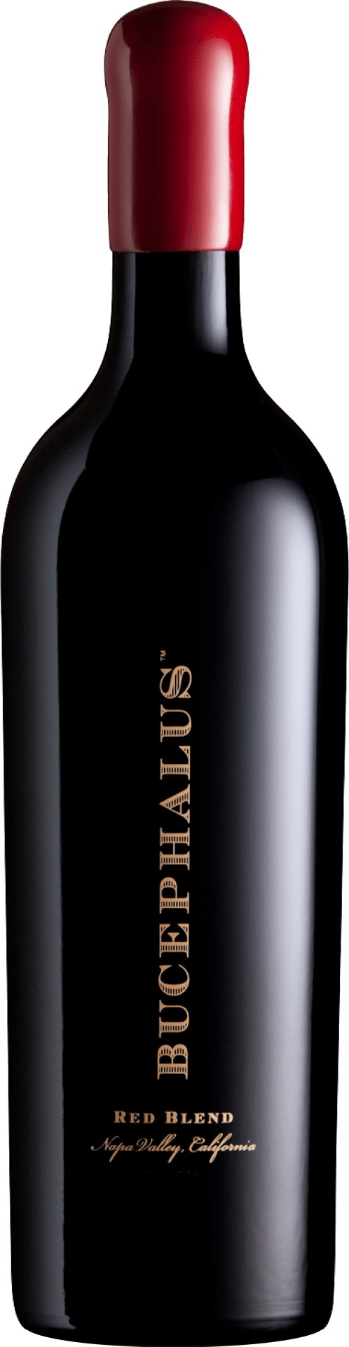 Black Stallion Bucephalus