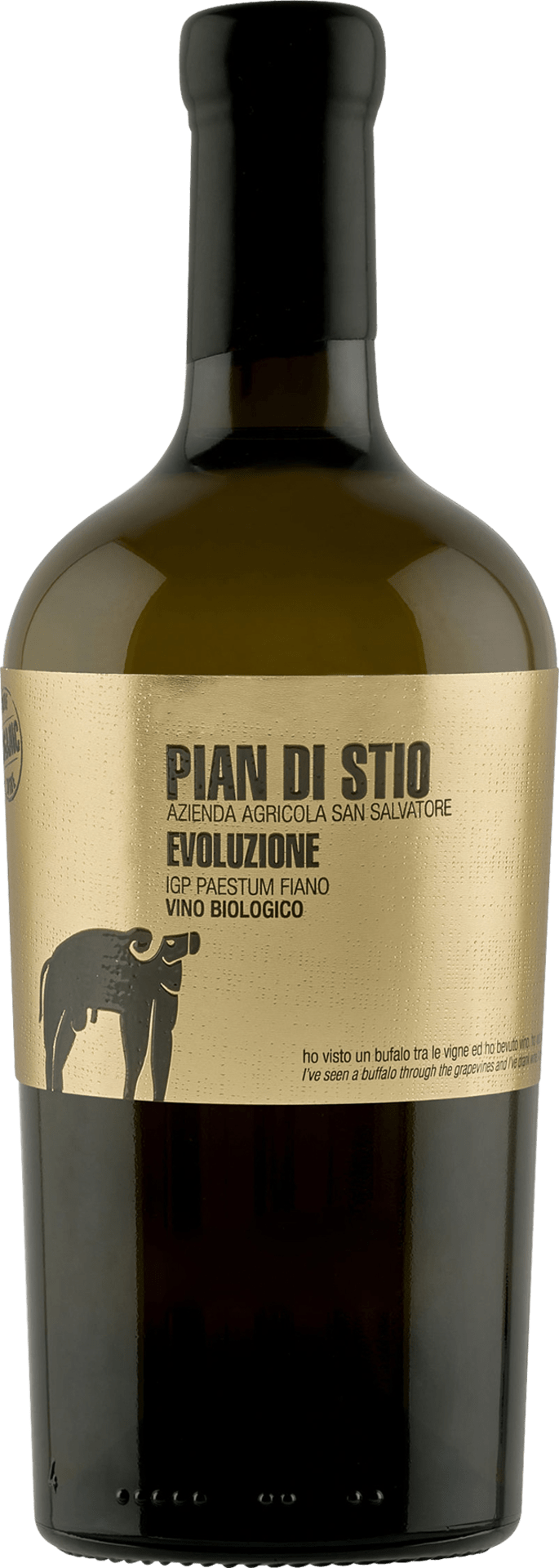 Pian di Stio Evoluzione Fiano